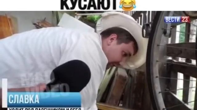 Пчелы добрые вообще не кусают смотреть онлайн