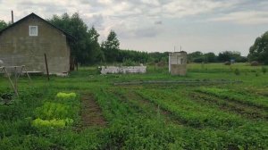 Наш ужасный огород\ Залили еще одно помещение наливным полом/ Погода не радует.