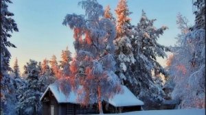 Зимний сказочный лес