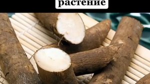 Как применять лопух для лечения   Корень и листья лопуха — лечебные свойства  Что лечит лопух