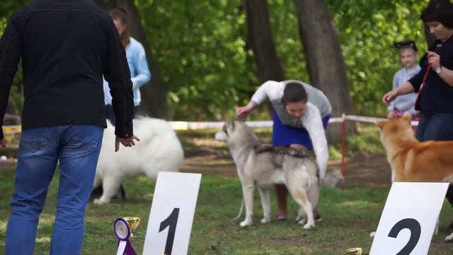 БИГ 5 группы смотреть онлайн