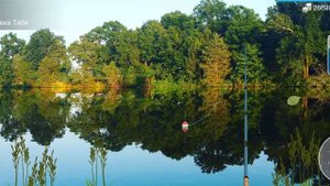 Как и где ловить# Китайский окунь#my fishing world
