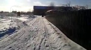 Самодельный снегоход с двигателем сзд 2