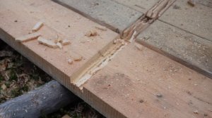 ДОБЫТЬ МЯСО НА УЖИН В ИЗБЕ "ПРОХОДНОЙ"