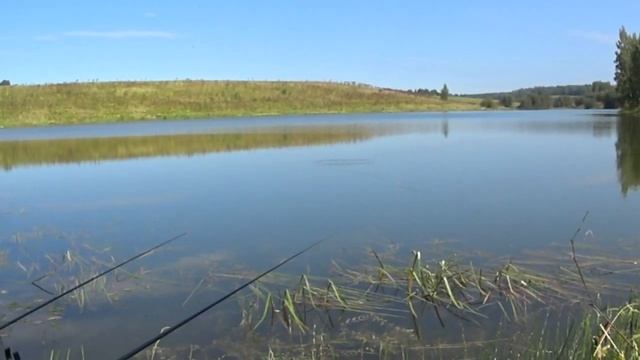 Ловля плотвы на поплавок! Ловля поплавка на спиннинг! Коп металла на бензин! смотреть онлайн