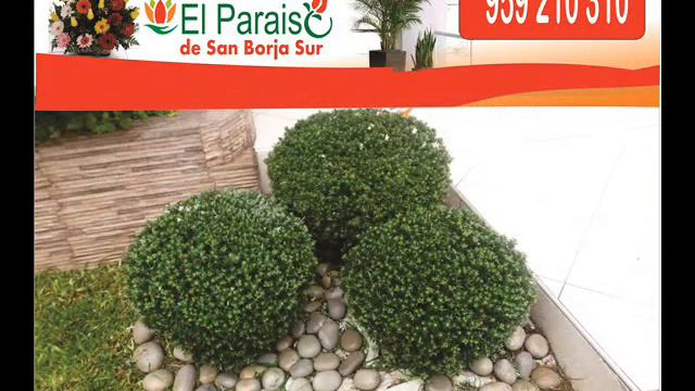 FLORES Y PLANTAS EL PARAISO DE SAN BORJA SUR смотреть онлайн