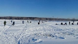 АКЦИЯ на зимовальном пруду №6,  23.01.2019г.