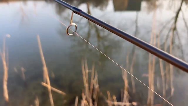 Hearty Rise New Rock n Force II 1,5-14gr смотреть онлайн