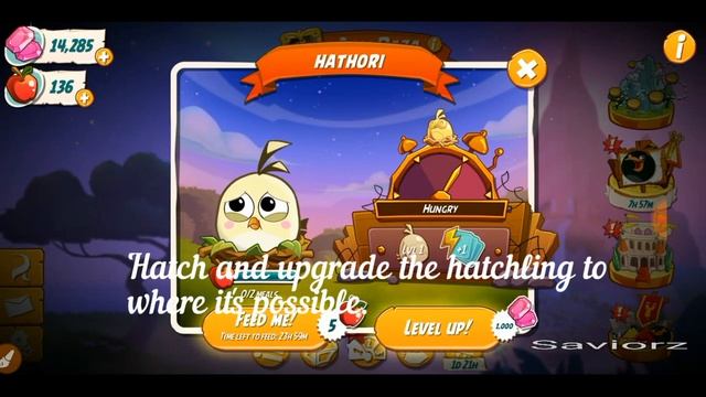 How to take care of your hatchling easily | No need of so many Apples. смотреть онлайн