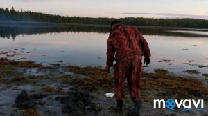 Белое море. Копаем морских червей/Огромные черви!!!