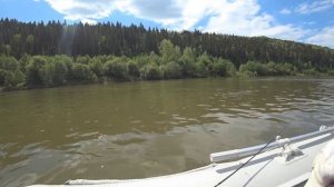 топ 7 воблеров на голавля 2019г.