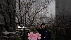 ♫︎😇💕Новая цыганская песня🌸 Только ты моя судьба🧸 2022🥀