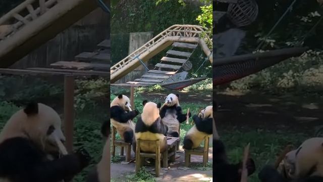 1000002199.mp4 смотреть онлайн