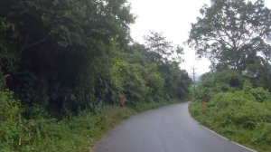 Walking at Sengulam , Idukki | 4K ASMR Walking tour in beautiful Kerala Village