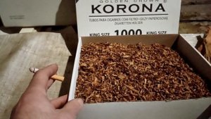 Вирджиния 202 четыре кустика в одной коробке.