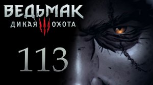 The Witcher 3 / Ведьмак 3 - Добиваем вопросы в Велене - Прохождение игры [#113] | PC (2017 г.)