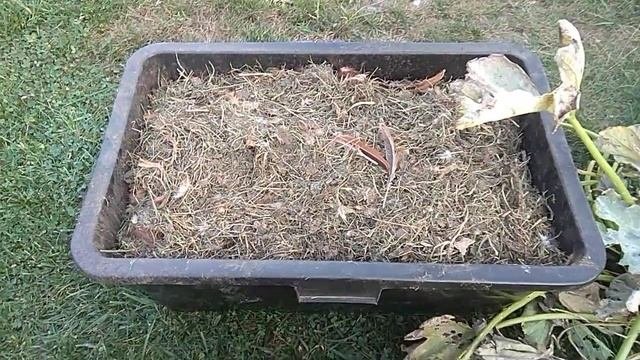006 Защита растений#удобрение#ферментация сена