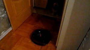 Робот-пылесос LG-VR6270LVM в работе.avi