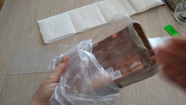 Посев лука-чернушки 3 способами.Эксперимент