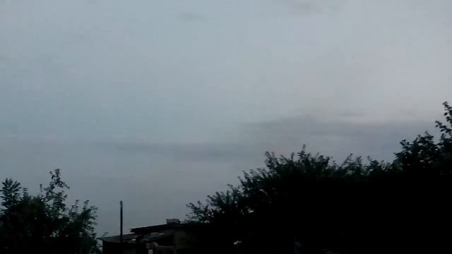 мошкара гудит туча камашки СМЕШНЫЕ КОТЫ И КОШКИ 2017 ПРИКОЛЫ С КОТАМИ И КОШКАМИ - смотреть онлайн