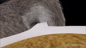 Judy Hopps' Unaware Cereal Vore - Giantess Animation