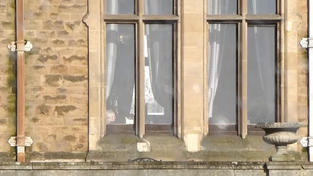 Panasonic Lumix DMC TZ35 Test Video With Zoom