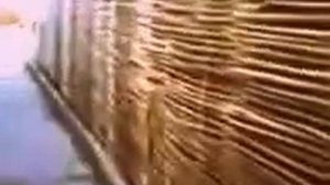 Плетение из лозы и орешника (Украинский-тын}