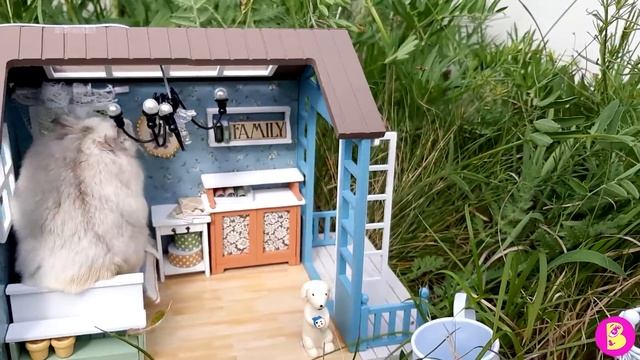 ХОМЯЧКИ на ДАЧЕ***ЛЕТНИЕ ПРИКЛЮЧЕНИЯ ДРУЗЕЙ ХОМЯЧКОВ смотреть онлайн