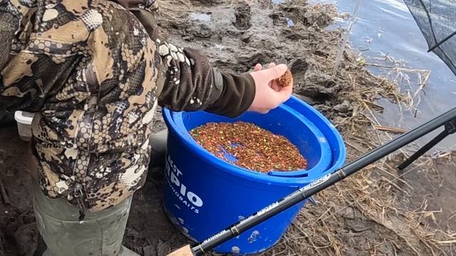 Весенняя рыба - рыбец. Как правильно приготовить прикормку... смотреть онлайн