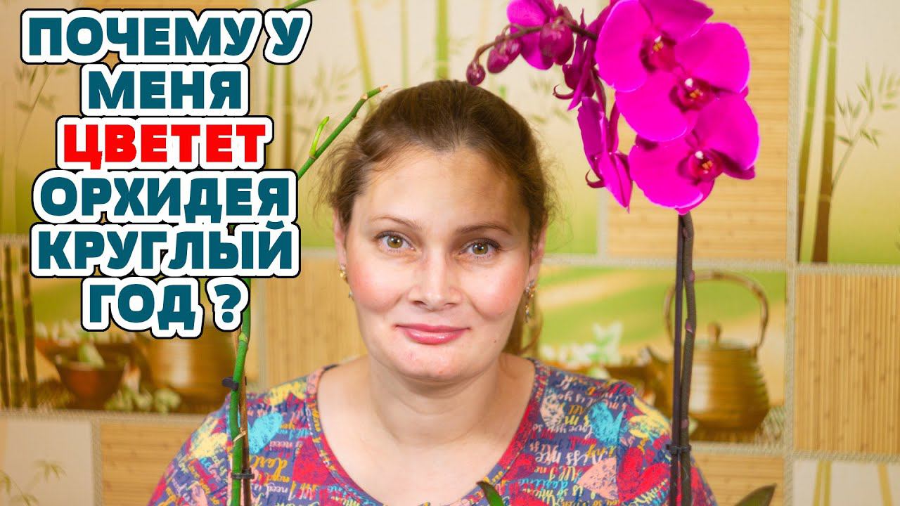 Ваша ОРХИДЕЯ будет цвести круглый год! ПОДКОРМКА для БЕШЕНОГО РОСТА комнатных растений!