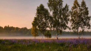 Луганяса келунясь (Берёзка на лужку) — Нина Спиркина / Luganäsa kelunäś — Nina Spirkin