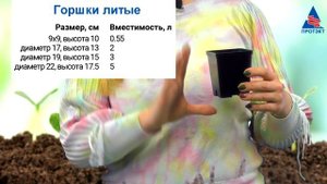 Горшки для рассады