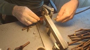 Настольная прививка винограда