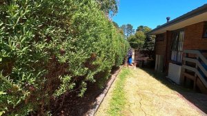 Makita 480mm electric Hedge Trimmer UH4861 400w