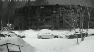 В Сыктывкаре похитительница санок засветила свое лицо крупным планом