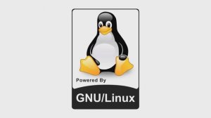 Линукс для начинающих. О Linux, GNU и проблемах с программами