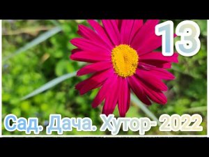 1 июля 2022 г.Подвязали пионы. Скоро расцветут. Балдеем???.mp4