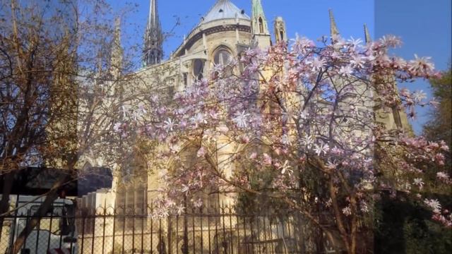 Bruno Pelletier. Le temps des cathedrales. смотреть онлайн