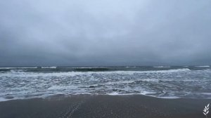 Куршская коса зимой. Едем сами. Бесплатный экскурсовод. Секретный пляж БЕЗ людей