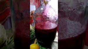 СВЕКОЛЬНЫЙ КВАС