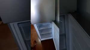 Холодильник Haer, хаер, обзор.