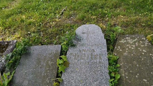 Массовые захоронения немецких солдат//Город Хеб/Чехия смотреть онлайн