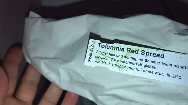 Orchids from SCHWERTER Швертер 02/ 11/ 2021 смотреть онлайн