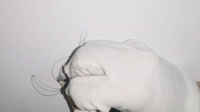 How to draw a Garlic with a pencil. смотреть онлайн