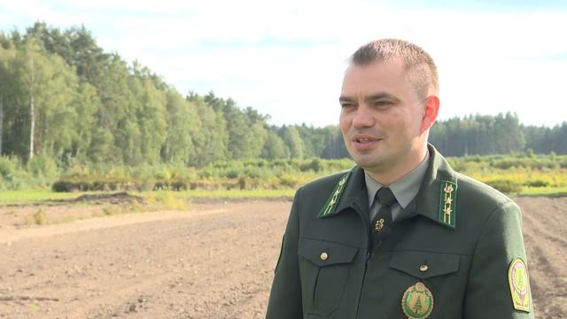 День работников леса и лесоперерабатывающей промышленности