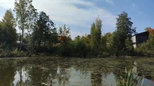 Рыбалка на поплавочную удочку на маленьком пруду.