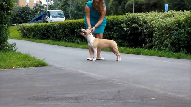 Климентина с Зеленого города