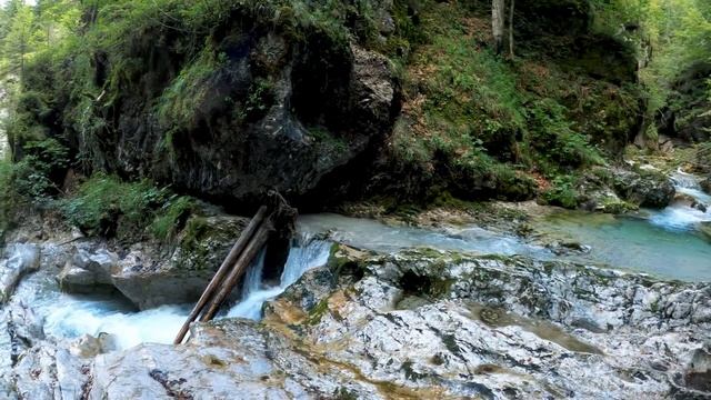 Дикая природа, река в лесу с бирюзовой водой. Красивая, нежная музыка для души... смотреть онлайн