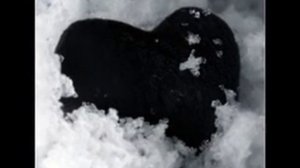 The Rasmus -  Ten Black Roses