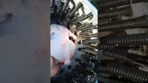 перосъемная перощипальная  перобильная машина своими руками из стиральной машины bosch как работает